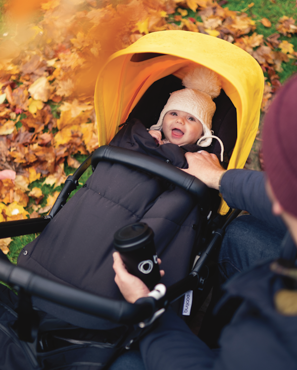 Bugaboo frog stroller image